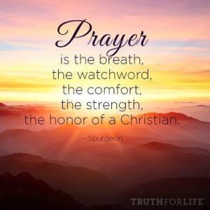 562752_171562786326435_1119975829_n_large