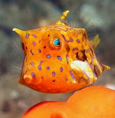 7da6ce4fceb1532efe0c6ad79d304d18