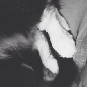 Processed with VSCOcam with x1 preset