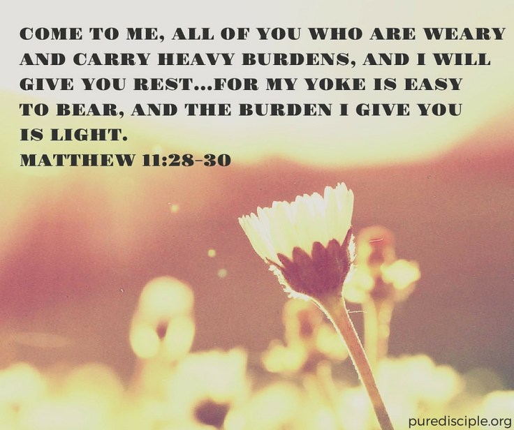 puredisciple.org (1).jpg