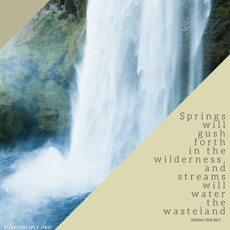 Springs will gush forth in the wilderness, and streams will water the wasteland.