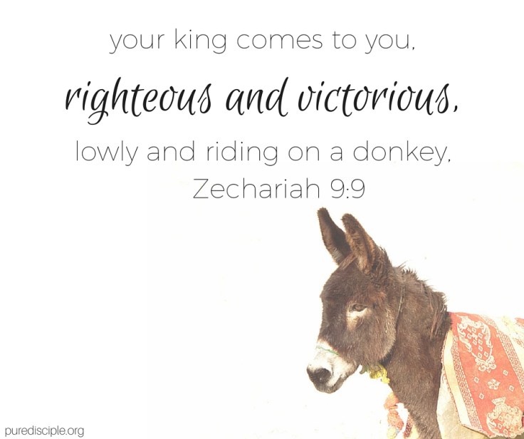 April 15, 2017 (1).jpg