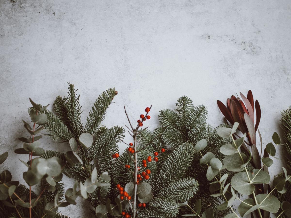 A Christmas Meditation